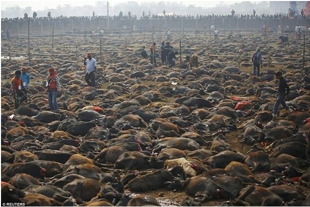 Что было перед землетрясением в Непале