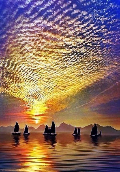 Паруса из паутинки