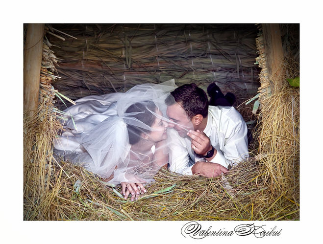 Рай в шалаше рецензия