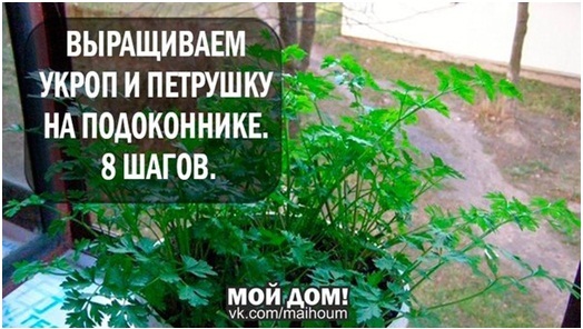 Чего не хватает в Европе