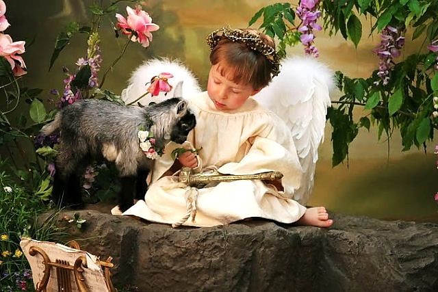 Мой ангел, храни меня, храни...