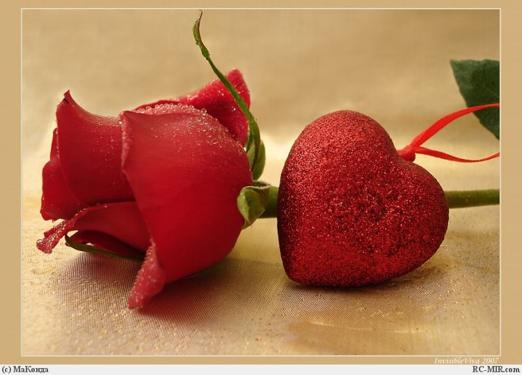 Снова веет прохладой печали (Екатерина Беликова Греченко) / Стихи.ру