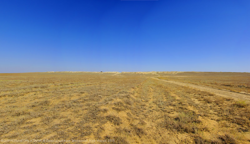 Какой тип почвы в степной зоне. Почвы степи в России. Степная почва. Зона степей почва. Типичные почвы степи.