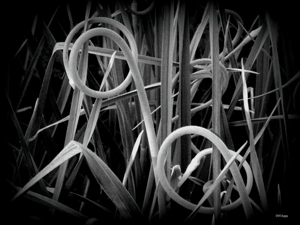 Ещё не время...