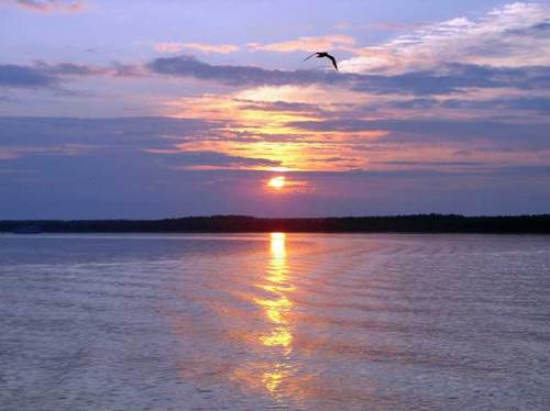 Волжский плен