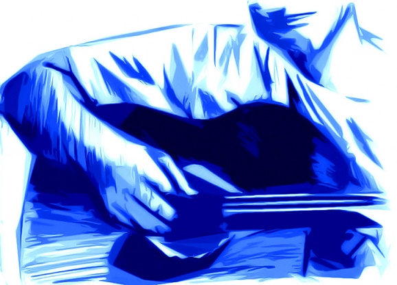 Что истинно, что ложно...