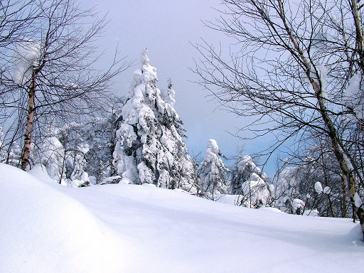 Я прощаюсь, как с другом...
