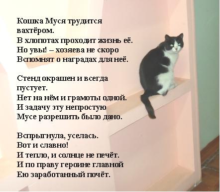 Про кошку стих