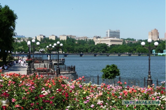 Город донецк парк щербакова