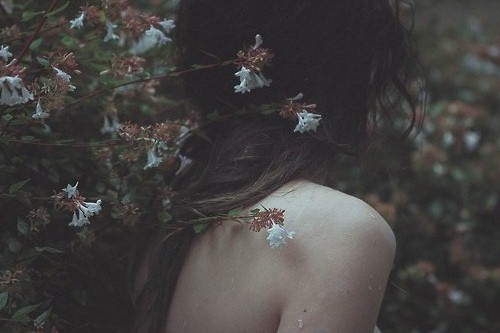 Попутный ветер