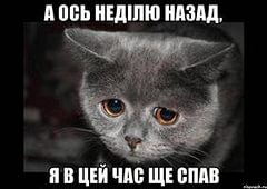 Не греет чувства, даже старый плед-шутка