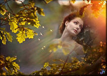 Проходит август..