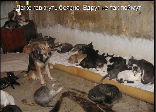 Вот это братцы влип...