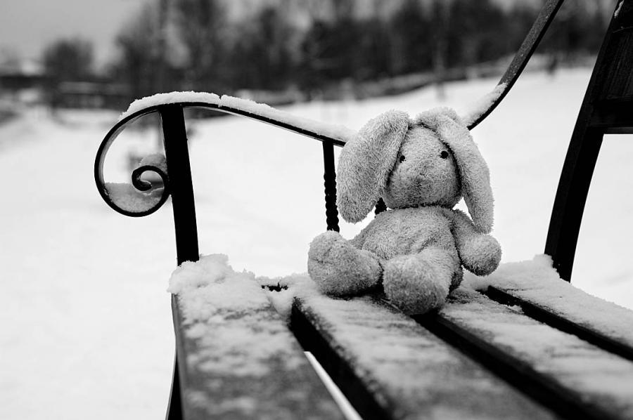 200 дней одного года