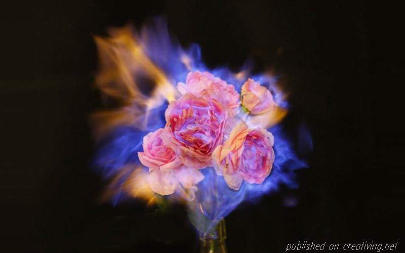 Рукописи не сгорают...