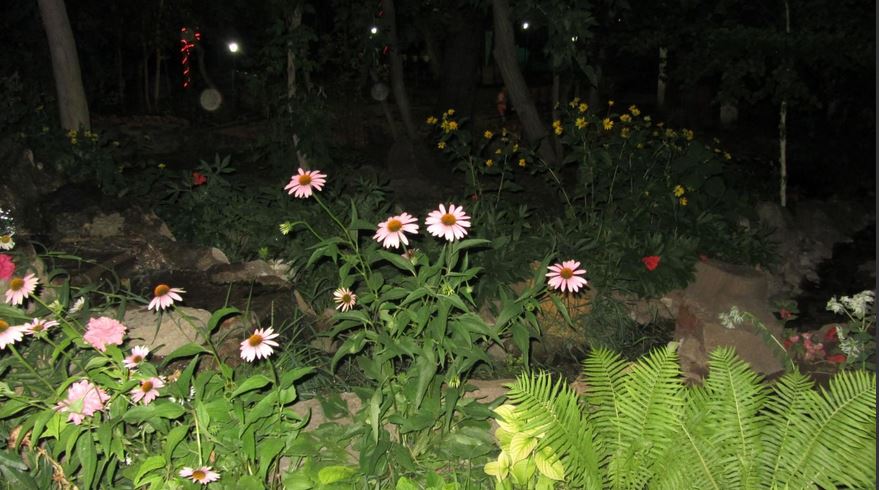 Помнишь музыка звучала