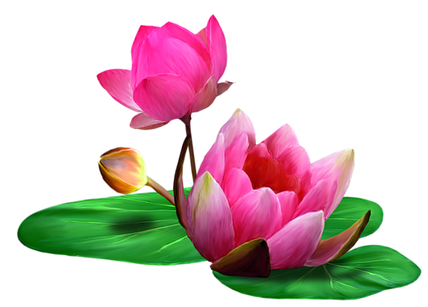 Рассеялся к утру туман