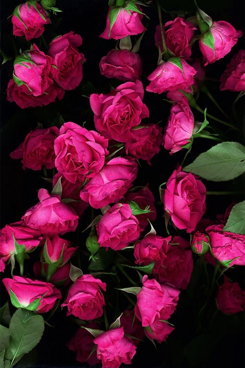 И знай... поздравление