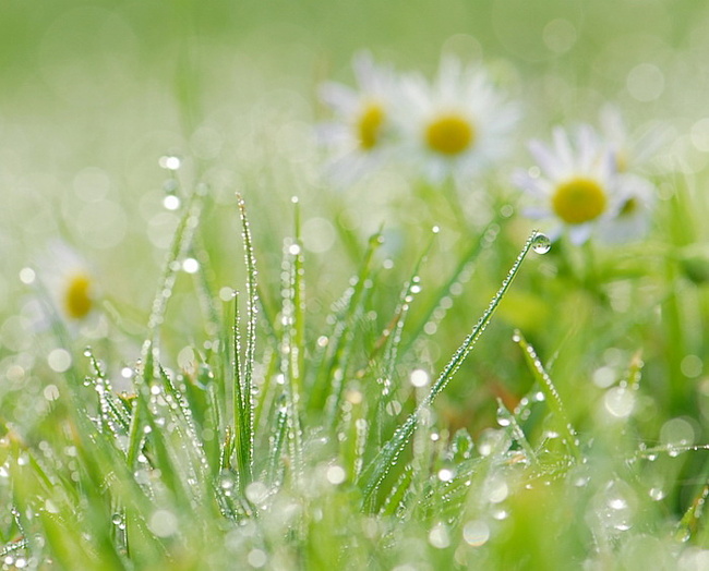 Туман опускается ниже...