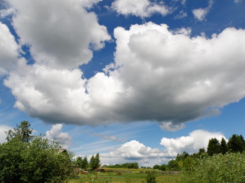 Прощай, моя неспетая любовь!