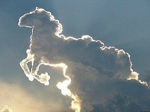 Гонит ветер табун лошадей