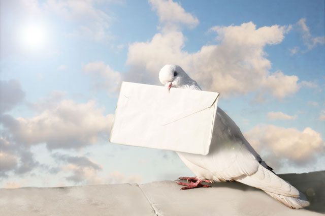 Душа душе письмо писала