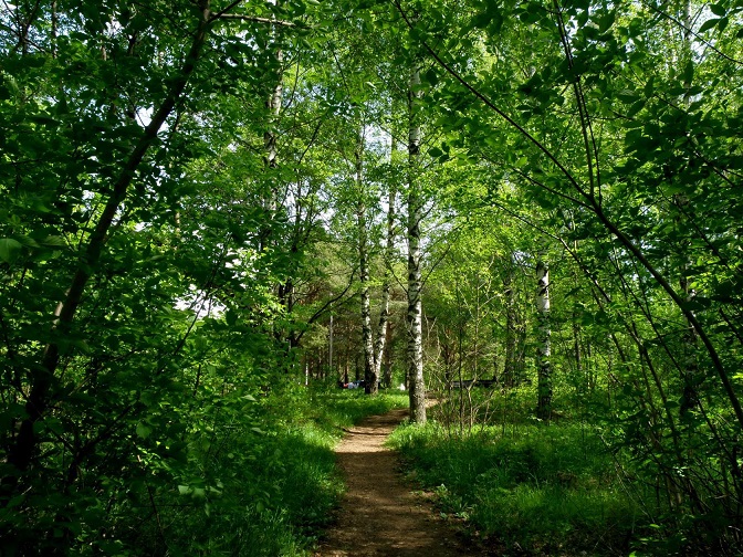 То ли осень заплутала где-то...