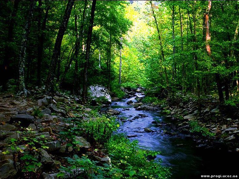 Звонкие серебряные ноты...