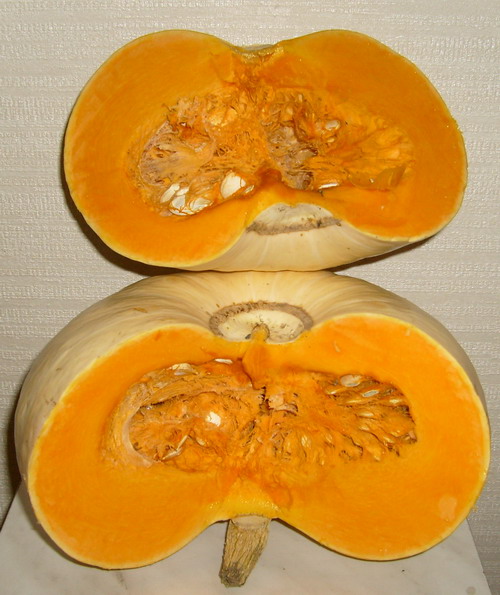 Закрома Родины