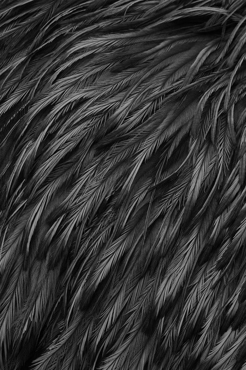 Чему быть, того...