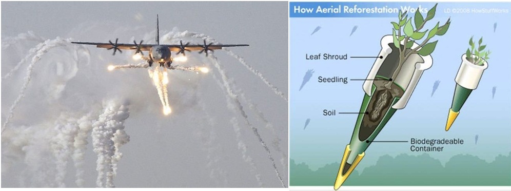 Помечтать не вредно