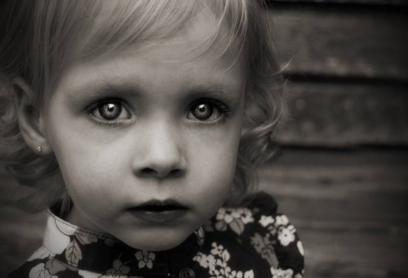 Страхи. Медвед