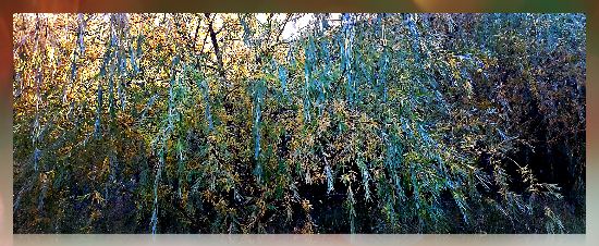 Горячий август...