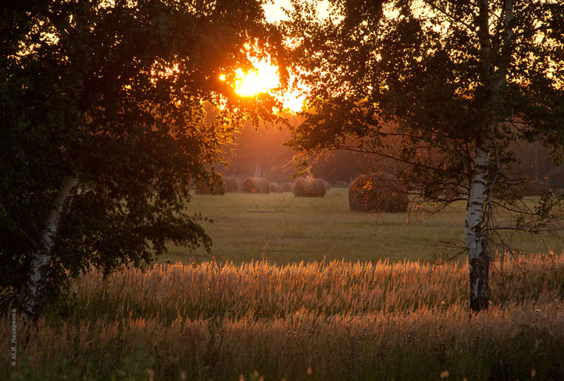 Закат лиловый, закат последний