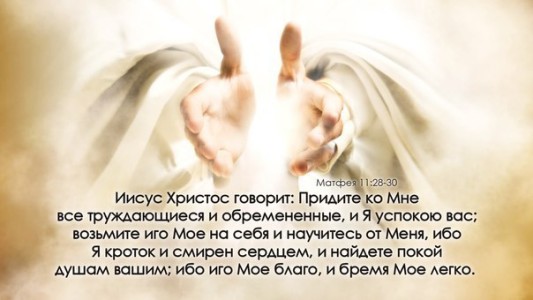 Милый друг, люблю! Благодарю!