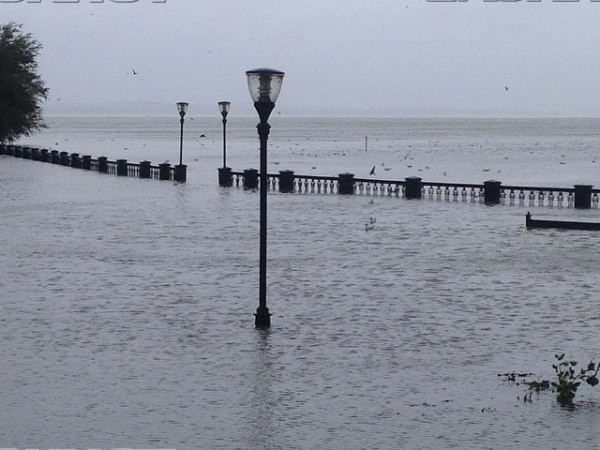 Таганрог сумасшедший город