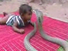 Благодарность по-змеинному