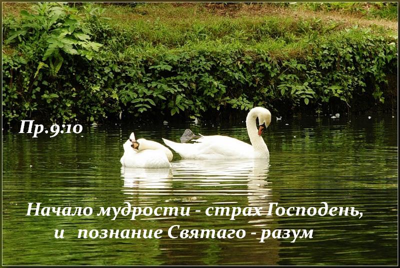 Мудрость разума и мудрость сердца. Начало мудрости страх господень. божья мудрость. мудрость от бога. бог мудрости.