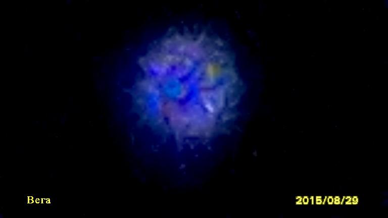 Вега 0012 29 августа 2015 (Фэлатом) / Стихи.ру