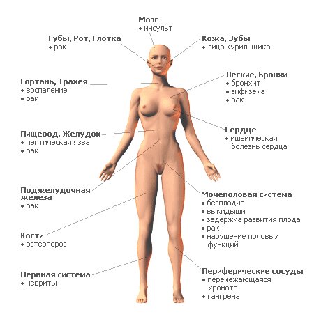 Курящим, смерть для всех творящим! Сборник