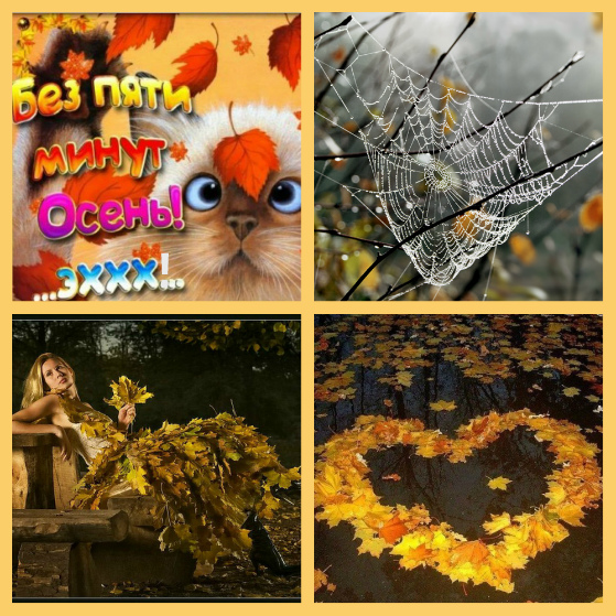 Цифры в осеннем стиле. Приметы осени для школьников 2 класса. Слово этой осенью. Начало сентября природа. Пять осеней.