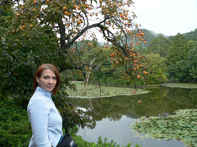 Давай предадим забвению прошлое