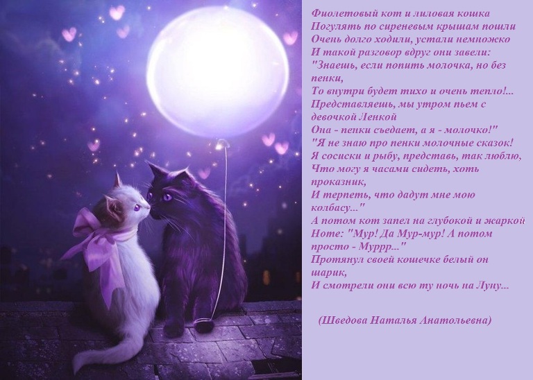 Фиолетовый кот видео. "Лунный кот". Котик на фиолетовом фоне. Фиолетовый кот. Фиолетовые коты.