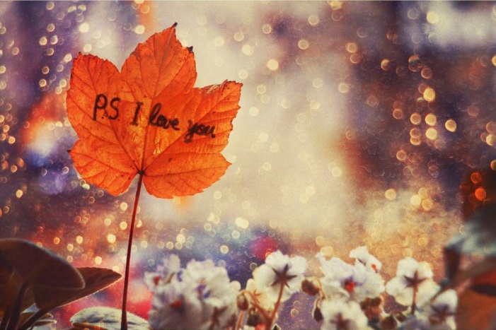 Скоро листья закрУжат...