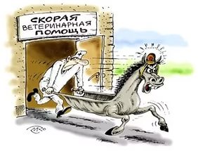 41. Тетка Танька с сагой про вампиров