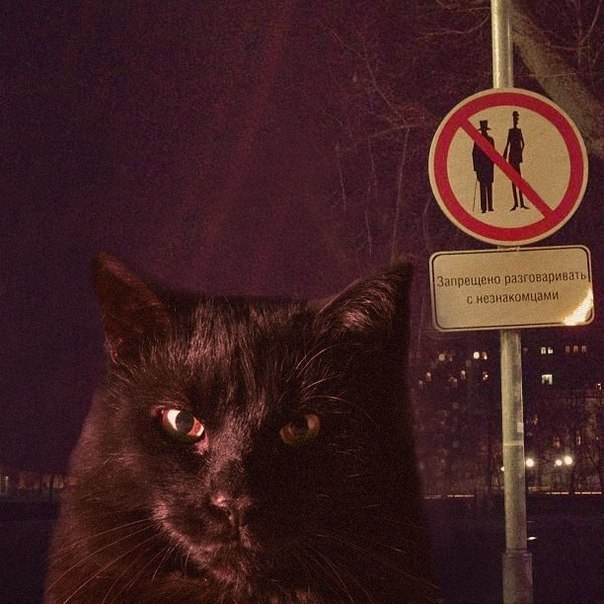 Возрождаются Воланды