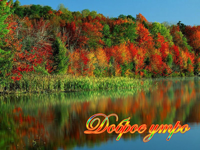 Доброе утро, мой друг