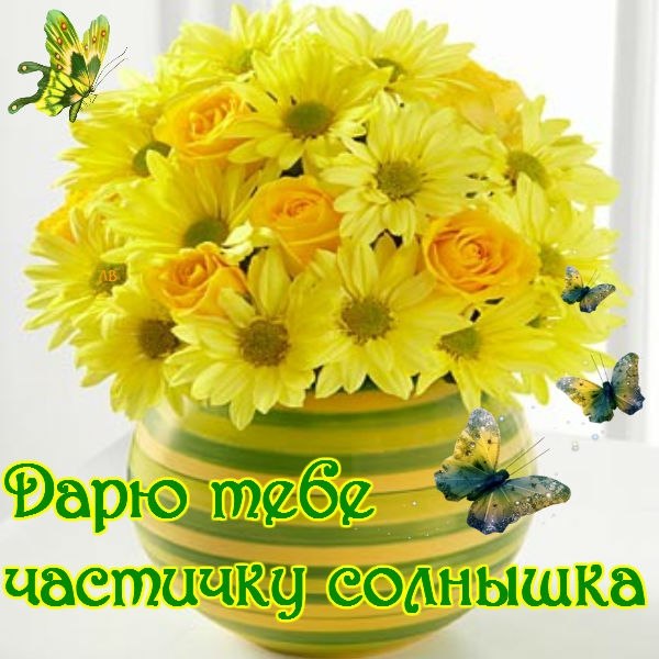 Доброе утро от солнышка