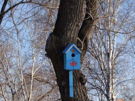 От весны до весны