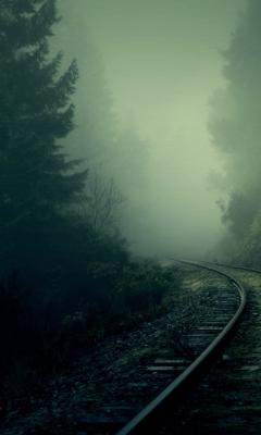 Как в тумане